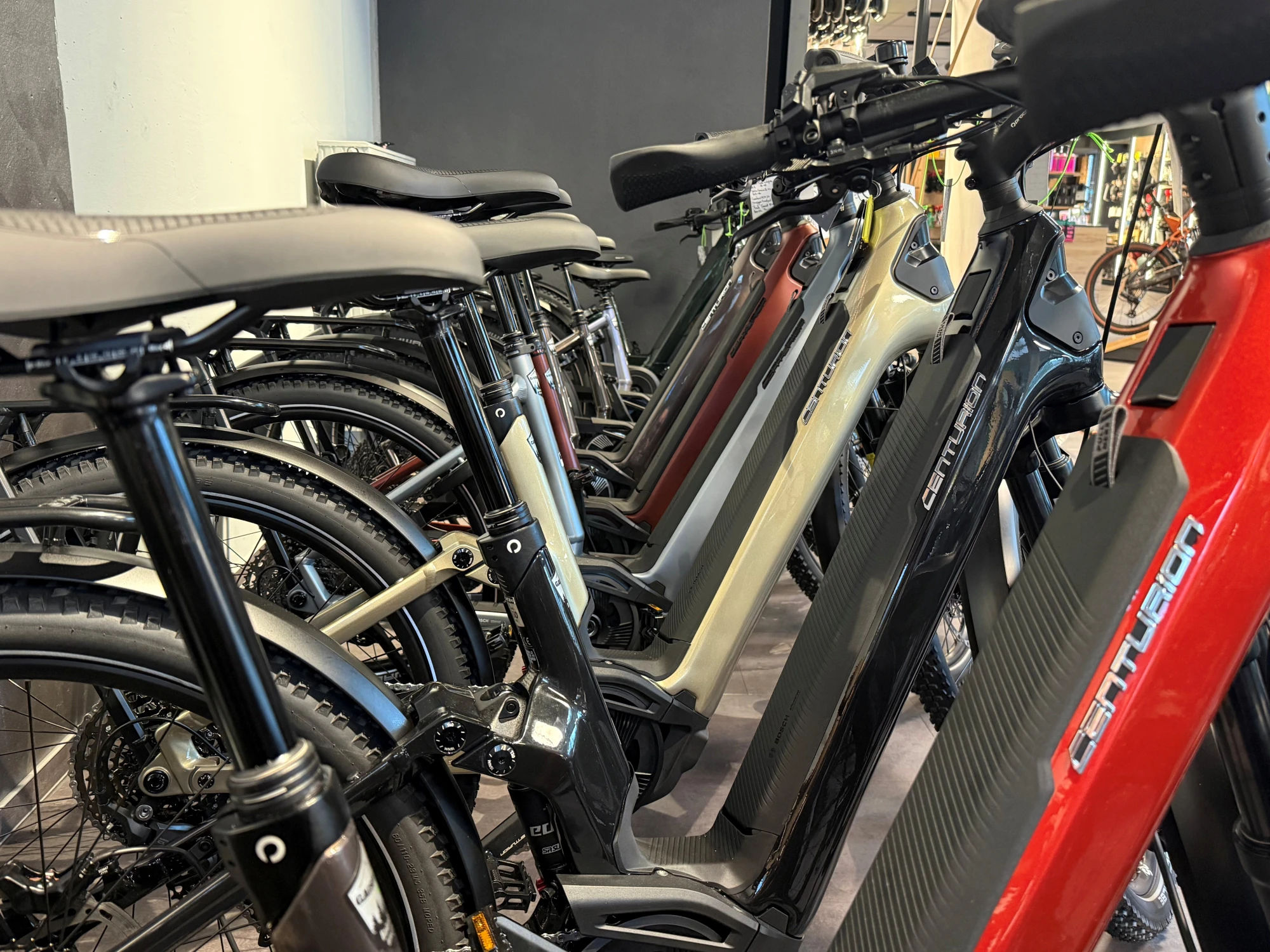 Mehrere Fahrr&auml;der in verschiedenen Farben stehen nebeneinande.