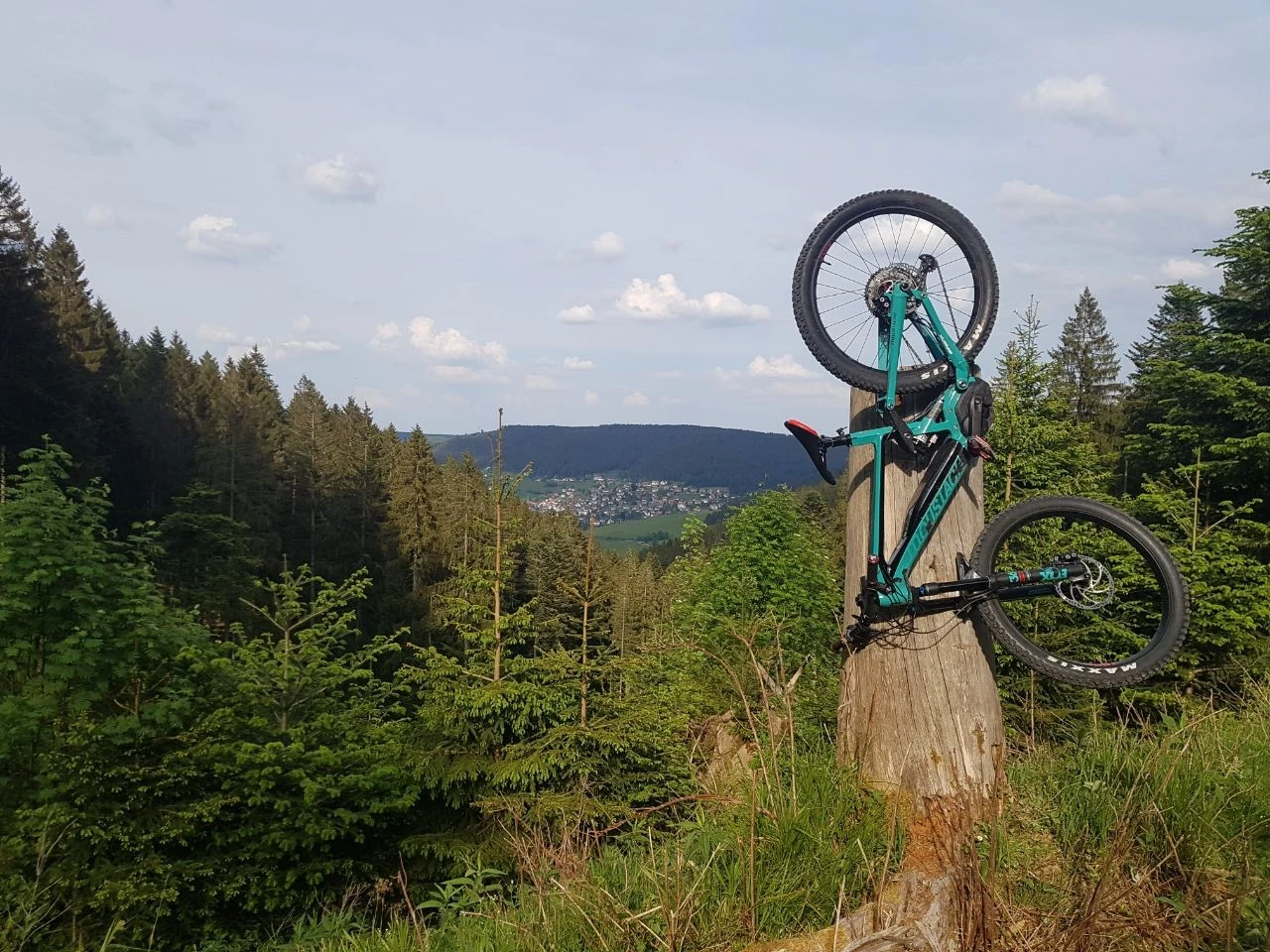 T&uuml;rkises Mountainbike auf Baumstamm in Waldlandschaf.