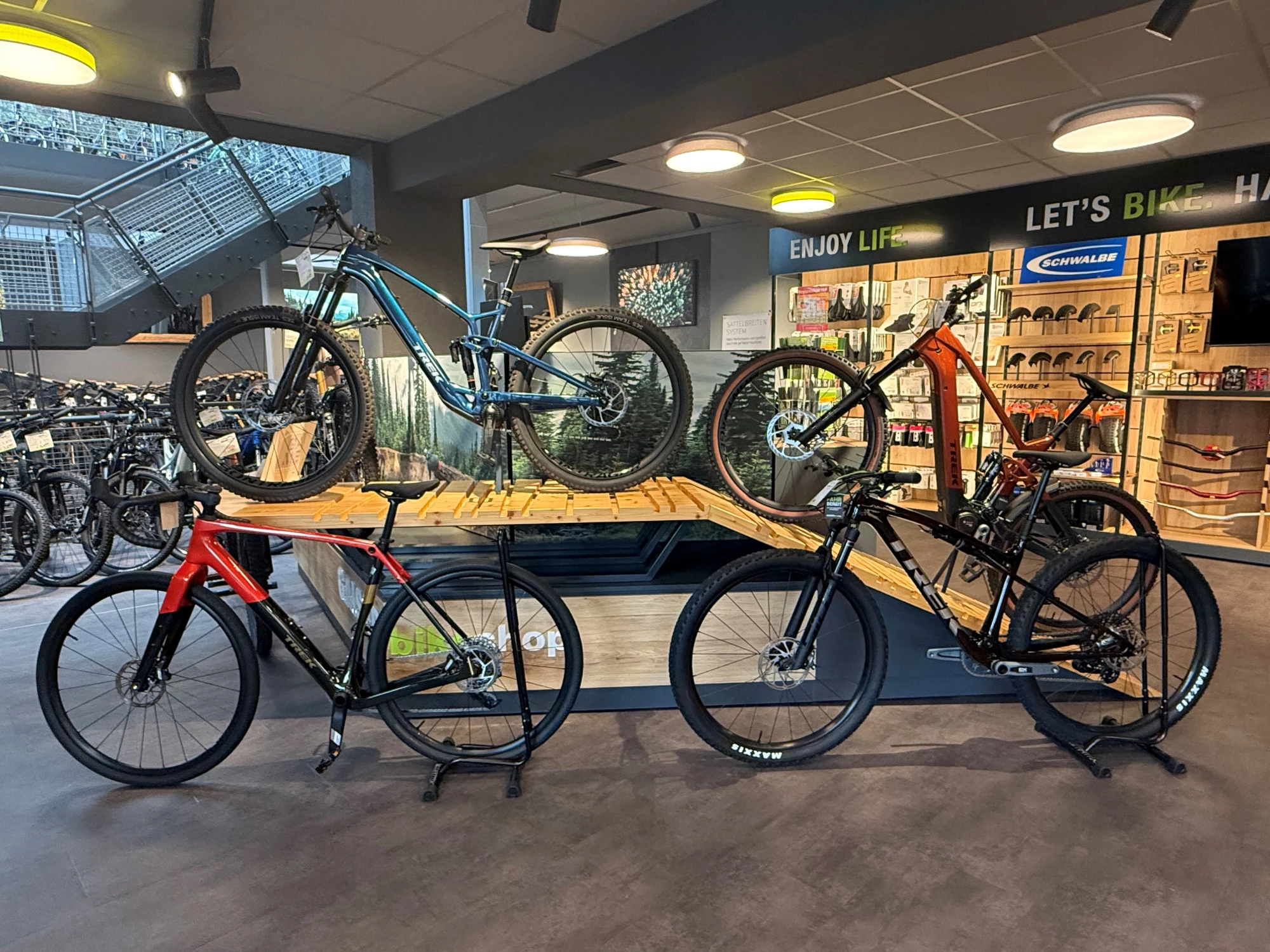 Fahrr&auml;der in verschiedenen Farben auf St&auml;ndern in der Bikeshop-Ausstellung.